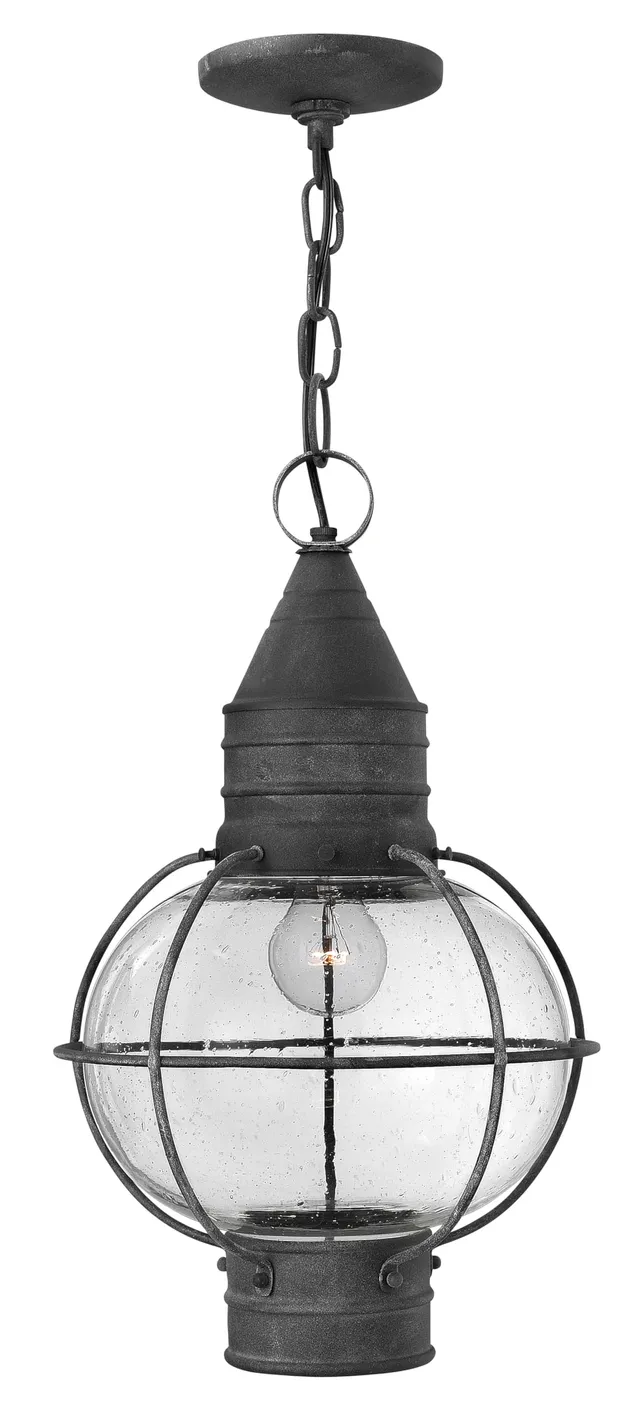 hinkley-cape-cod-2202dz-medium-outdoor-hanging-lantern-adjustable-height-clear-s image 1