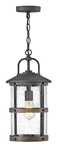 hinkley-lakehouse-one-light-outdoor-medium-hanging-lantern-black-with-clear-seed image 6
