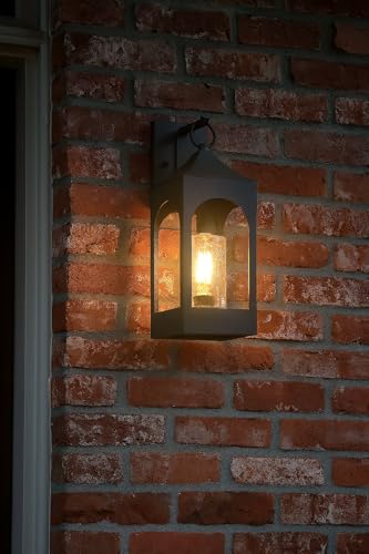 hinkley-amina-large-wall-mount-outdoor-lantern-distressed-zinc-finish-clear-seed image 7