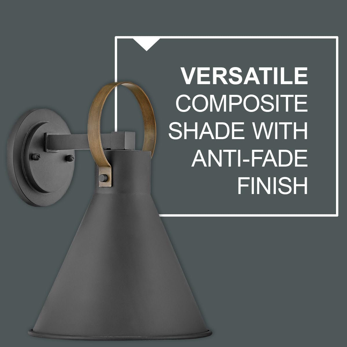 hinkley-winnie-medium-single-light-wall-mount-outdoor-lantern-coastal-elements-m image 5