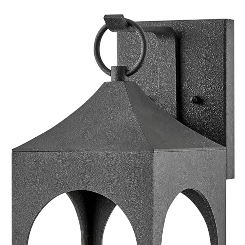 hinkley-amina-large-wall-mount-outdoor-lantern-distressed-zinc-finish-clear-seed image 8
