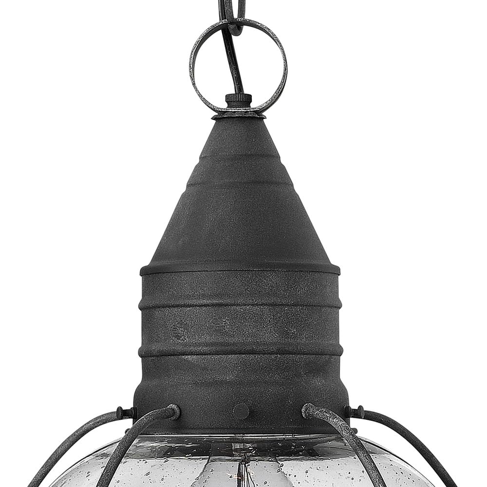 hinkley-cape-cod-2202dz-medium-outdoor-hanging-lantern-adjustable-height-clear-s image 3
