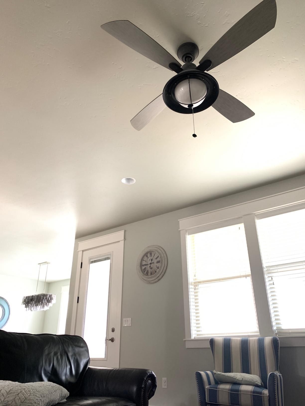 Gorgeous fan and a steal at this price