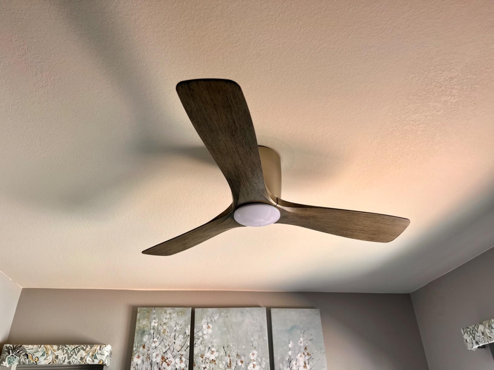 Nice fan, but the light is a bit cool