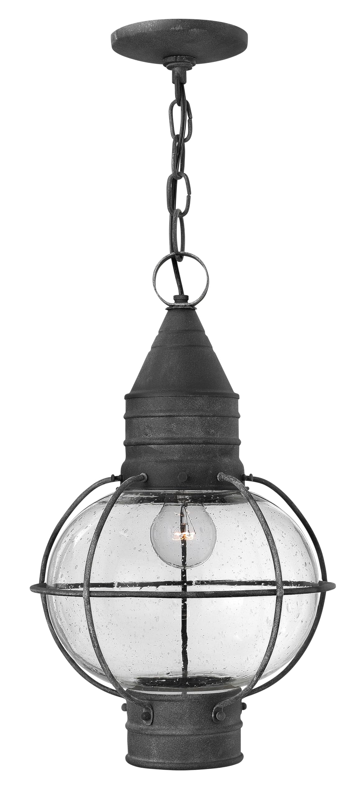hinkley-cape-cod-2202dz-medium-outdoor-hanging-lantern-adjustable-height-clear-s image 1