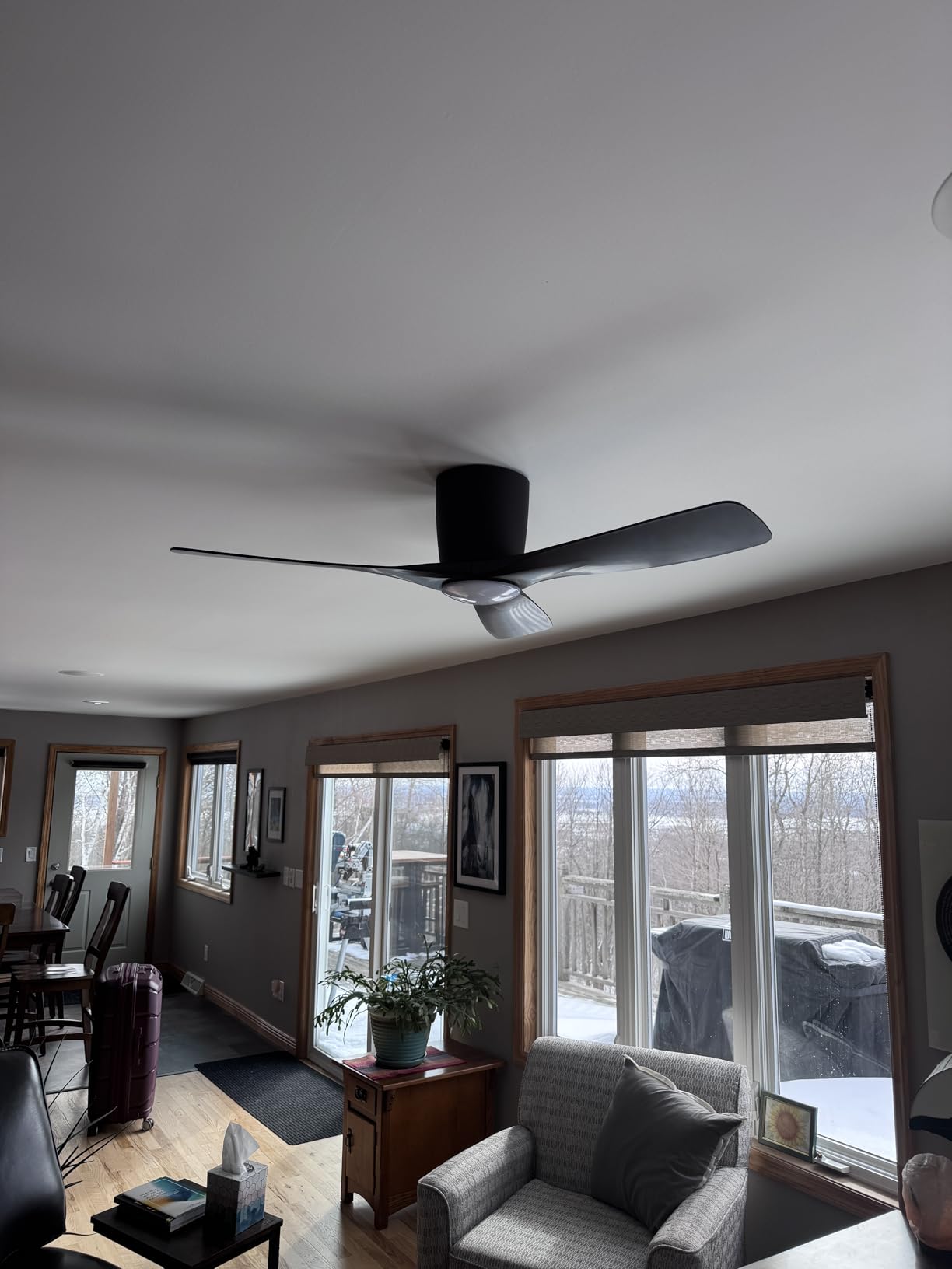 Great fan for low ceilings
