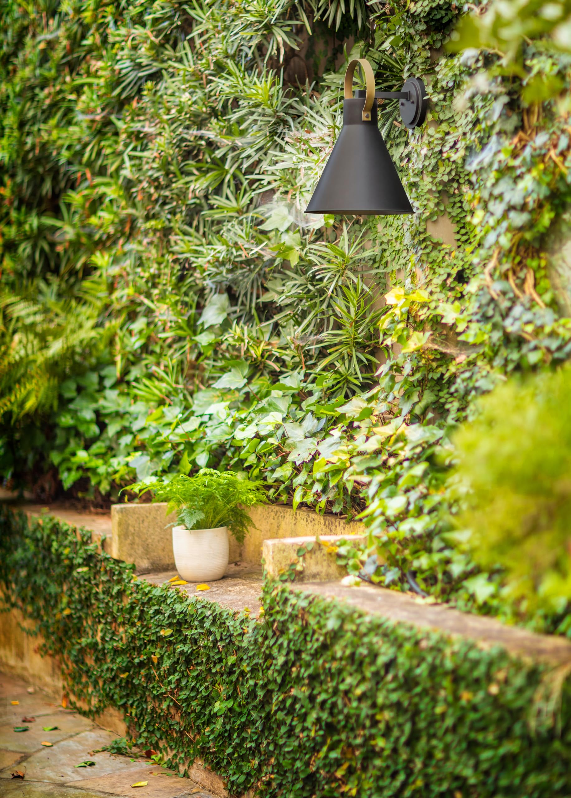 hinkley-winnie-medium-single-light-wall-mount-outdoor-lantern-coastal-elements-m image 2